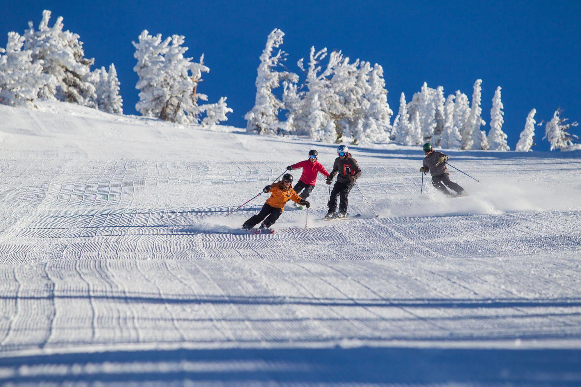 Teewinot Lodge By Grand Targhee Resort 阿尔塔 外观 照片